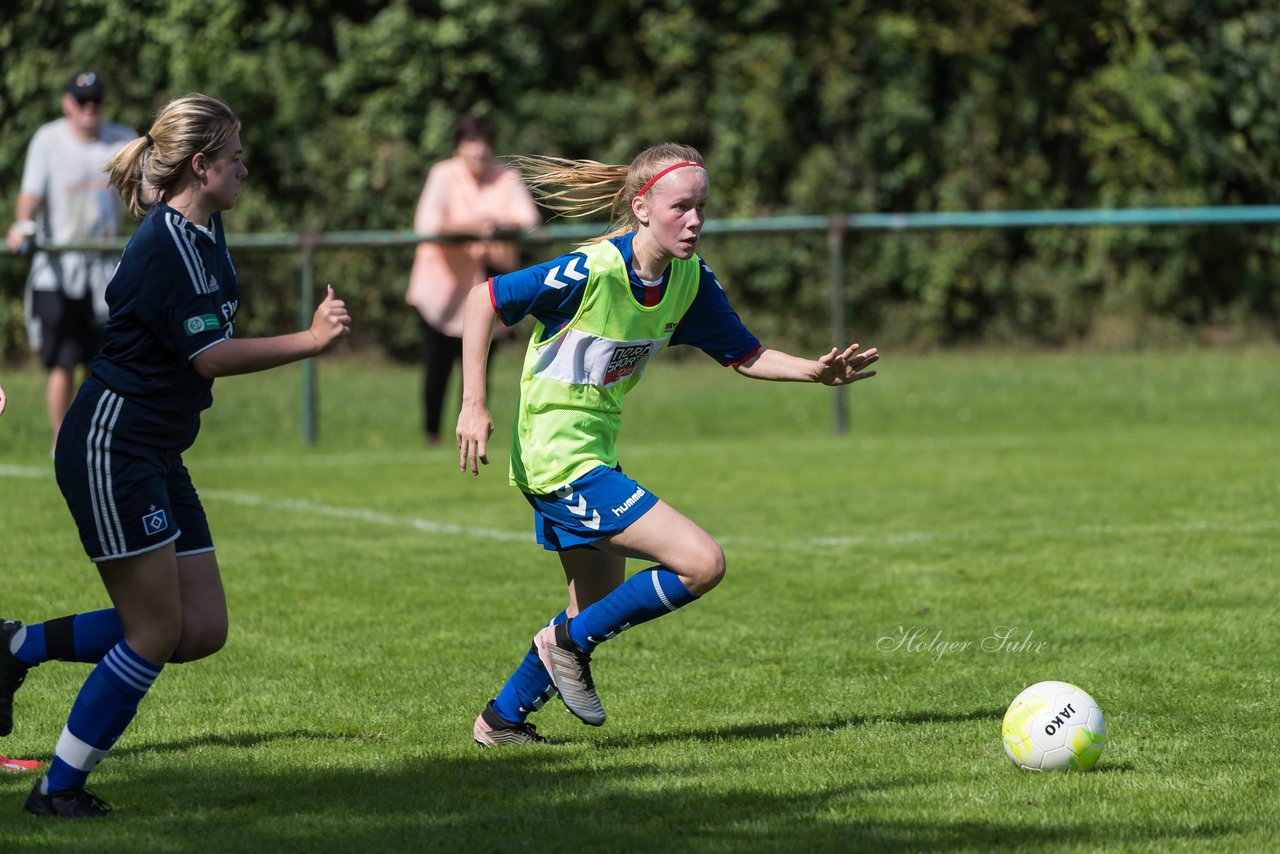 Bild 206 - B-Juniorinnen VfL Pinneberg - HSV : Ergebnis: 1:4